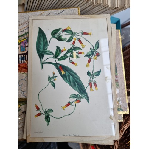 954 - A great selection of vintage prints.