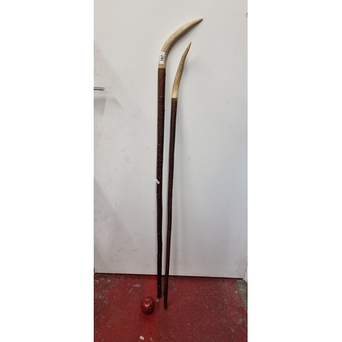 167 - A pair of large unusual walking canes with horn handles.
