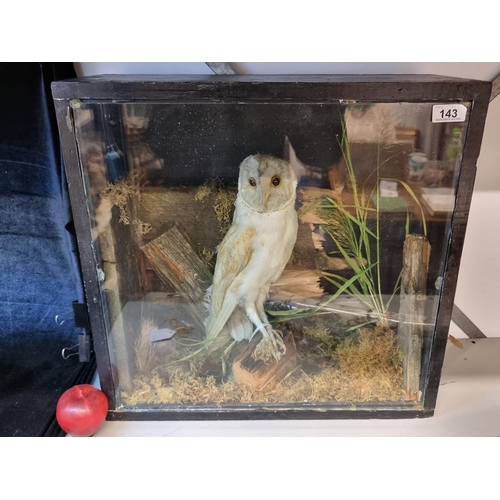 143 - Star lot : A vintage taxidermy barn owl held in a large display case set with sphagnum moss and reed... 