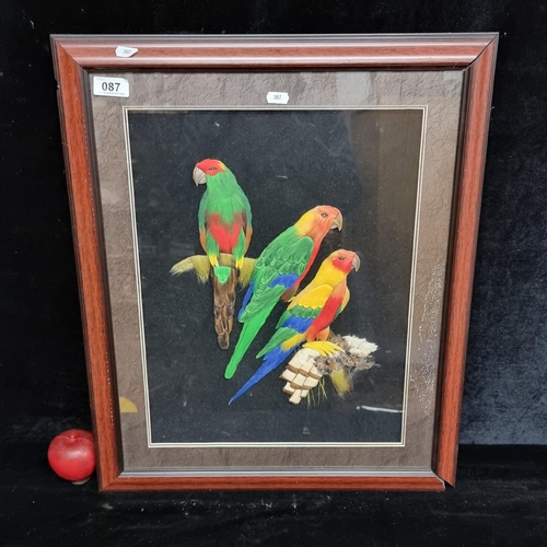 87 - An interesting original felt wool artwork featuring tropical parrots and macaws perched on a branch ... 