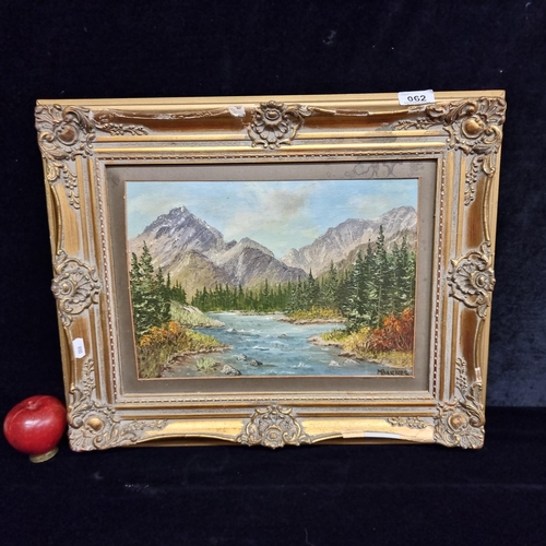 62 - A vintage original oil on board painting featuring a North American mountainscape scene. Signed M. B... 