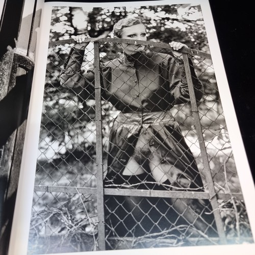 162 - A fabulous huge iconic  hardback Taschen collector's book celebrating the work of photographer Helmu... 