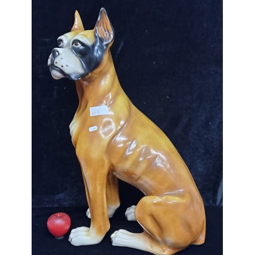 168 - Star Lot : A fabulous large ceramic Boxer dog statue with great shading and facial detail. H68cm in ... 