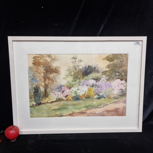 114 - Star Lot: An original Rosemary H. McNamara (Irish, contemporary) watercolour on paper painting showi... 