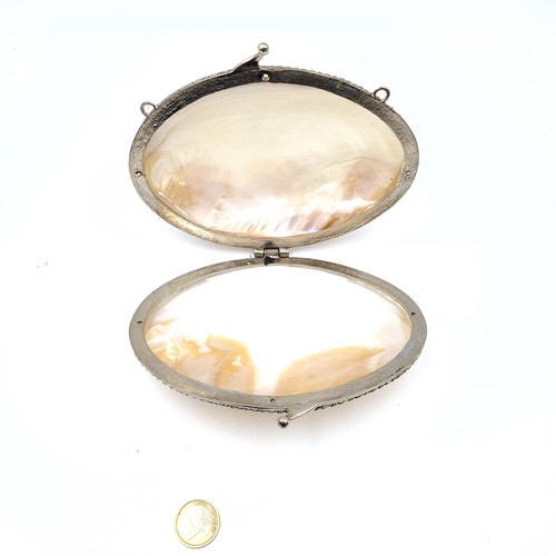 28 - A brilliant antique natural Abalone shell clutch, set with a fine hinged lid and two dual suspension... 