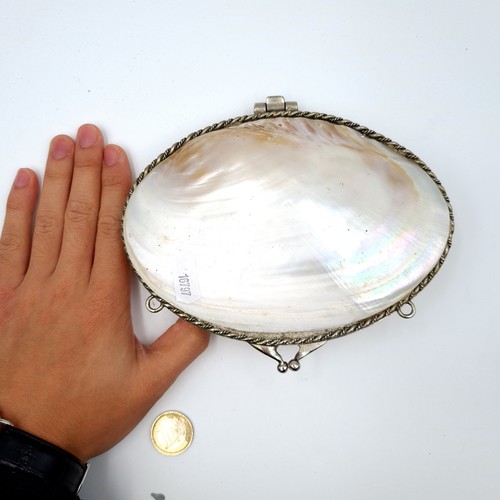 28 - A brilliant antique natural Abalone shell clutch, set with a fine hinged lid and two dual suspension... 