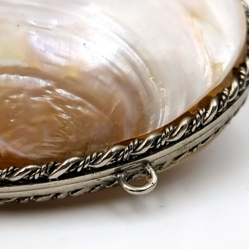 28 - A brilliant antique natural Abalone shell clutch, set with a fine hinged lid and two dual suspension... 