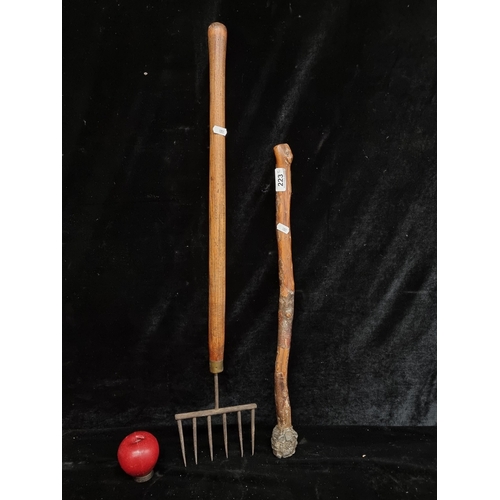 223 - Two antique items including a cudgel on a black thorn stick along with a large fork with brass detai... 