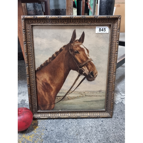 845 - A print on fabric of a very handsome horse titled 