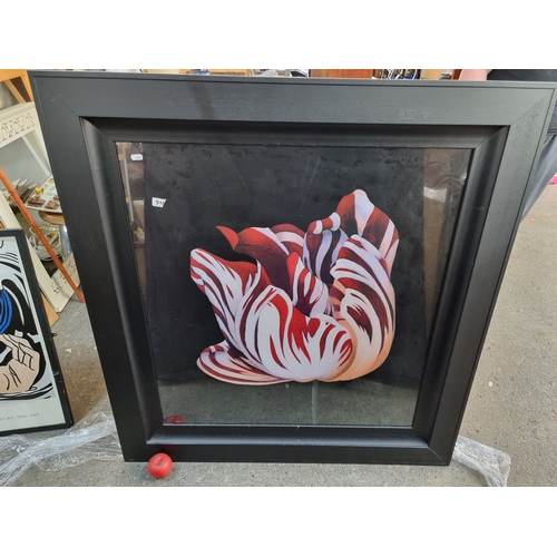 916 - A very large print of a painting of a parrot tulip flower, housed in a heavy high quality black wood... 