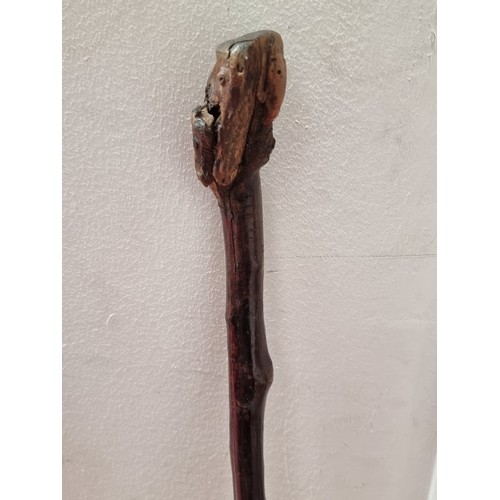 272 - A vintage ebonised walking stick along with a blackthorn example.