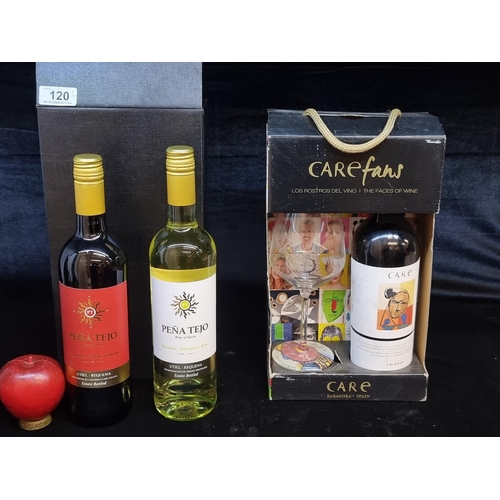 120 - Three sealed 75cl bottles of wine including Care Crianza red wine in a set with a wine glass. Along ... 