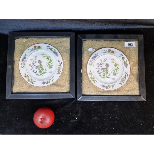 193 - Two gorgeous Sango China plates in the 