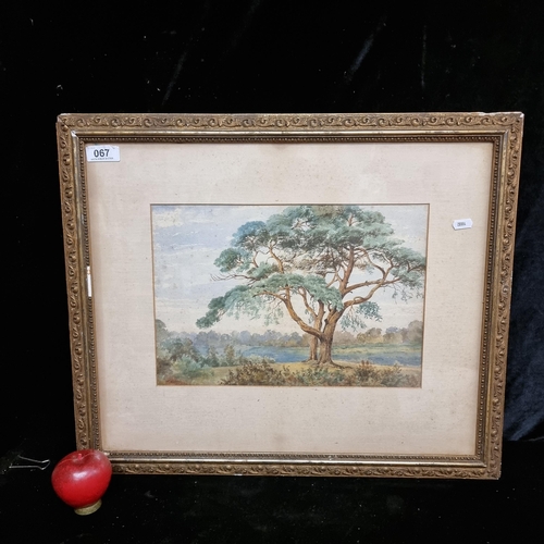 67 - An original antique watercolour on paper painting featuring a rural landscape scene of a mature tree... 