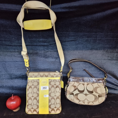 Two coach on sale bags