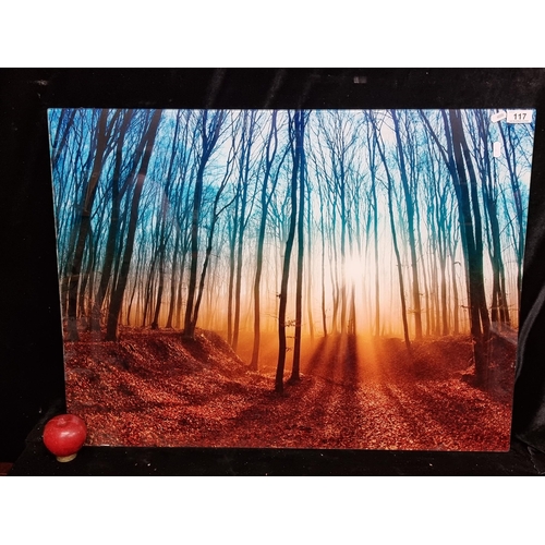 117 - A large print on plexiglass of a photograph of a forest, with bright blue sky and golden forest floo... 