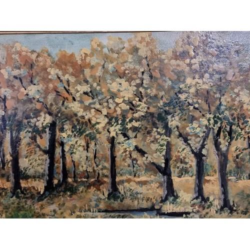 911 - A fabulous original oil on board painting featuring a forested landscape scene. Lovely treatment of ... 