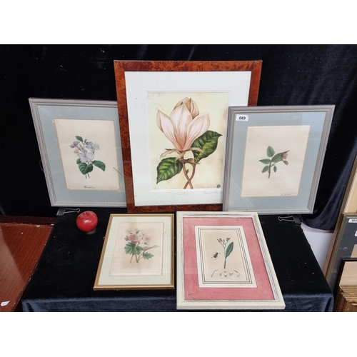 89 - Three original Victorian watercolour paintings on paper featuring botanical studies dating from 1862... 