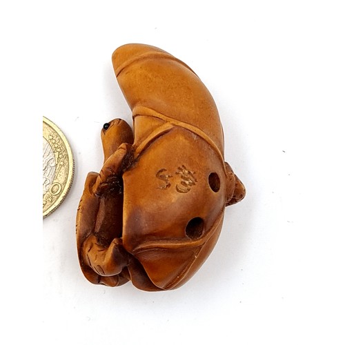 915 - A vintage  Netsuke figure, set in the form of a Tortoise atop a silk cocoon. With the two holes to t... 