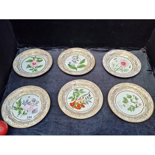 334 - A set of six Edwardian handpainted plates featuring various flowers with their names written to base... 