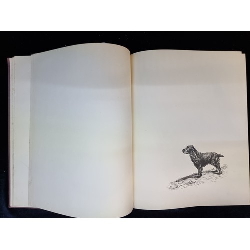 180 - A hardback book titled 'Dogs As I See Them' by Lucy Dawson dating to 1936 and published by Collins o... 