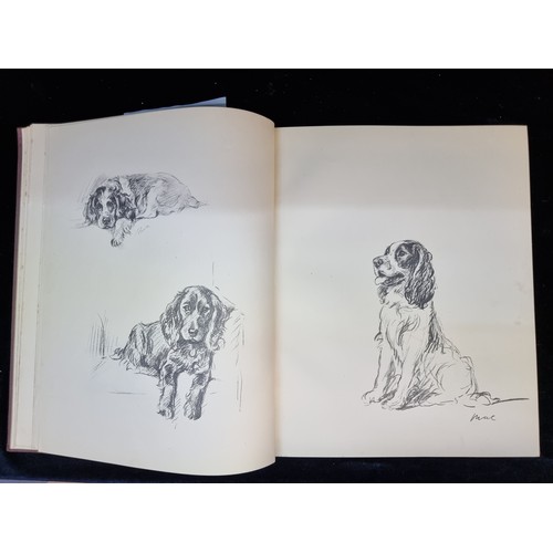 180 - A hardback book titled 'Dogs As I See Them' by Lucy Dawson dating to 1936 and published by Collins o... 