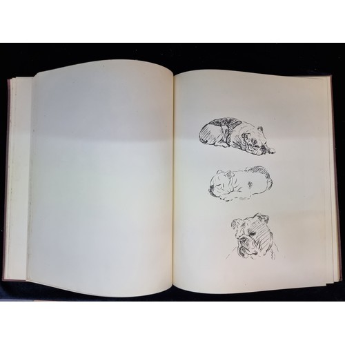 180 - A hardback book titled 'Dogs As I See Them' by Lucy Dawson dating to 1936 and published by Collins o... 