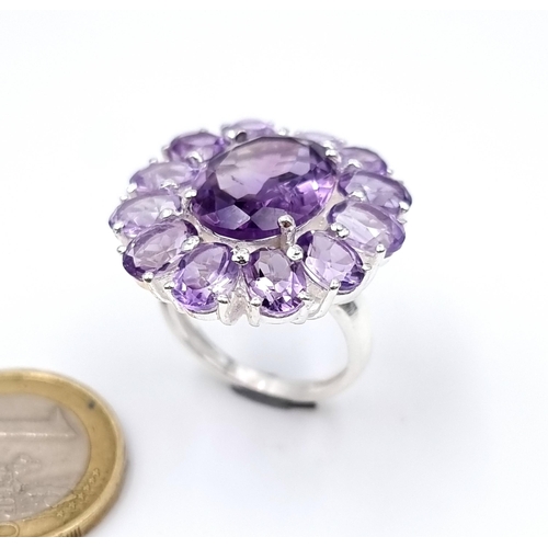 927 - A stunning very large Amethyst gemstone Ring with Amethyst cluster surround and mounted in sterling ... 