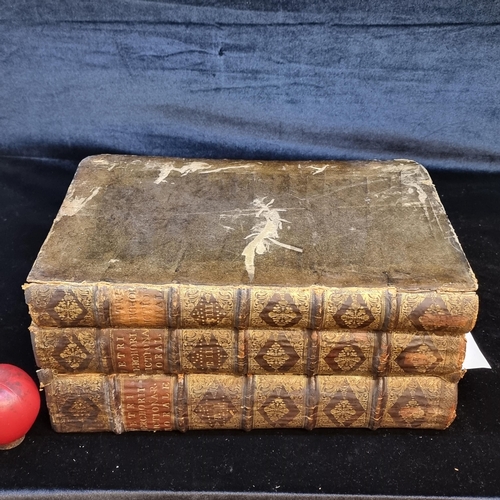 89 - Star Lot: Three rare large 17th century books titled 'Berchorii Picta Viensis Ordinis S. Benedicti V... 