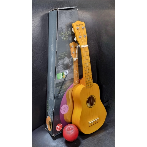 781 - A wonderful Sheffield birchwood ukulele set.