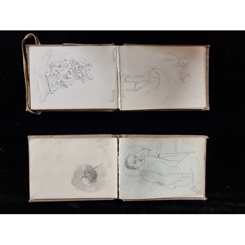 85 - Star Lot: Two antique original Edith Gladys Wynne (b.1876 - d.1968) sketchbooks containing a variety... 