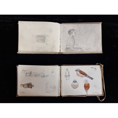 85 - Star Lot: Two antique original Edith Gladys Wynne (b.1876 - d.1968) sketchbooks containing a variety... 