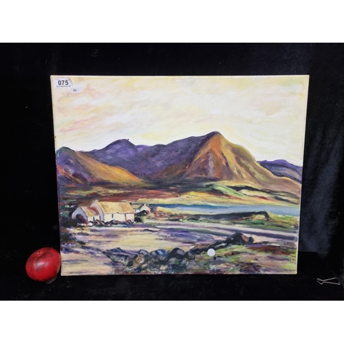 75 - An enticing original oil on canvas painting featuring an intensely rendered West of Ireland landscap... 