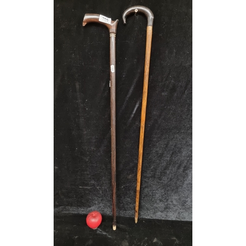 256 - Two gentleman's walking sticks including a wonderful ebonized wood example.