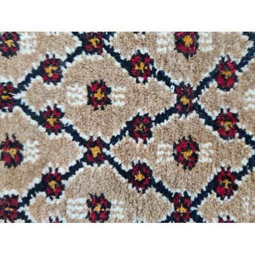 731 - Star Lot : A very large hand knotted wool rug featuring a lattice design and foliate border in shade... 