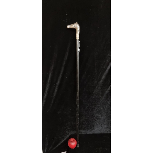 326 - A smart gentleman's walking cane featuring a horse head handle with ebony shaft.