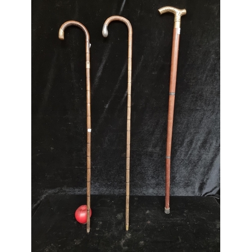 329 - A trio of antique traditional wooden walking sticks, one with a decorative brass handle and  collar ... 