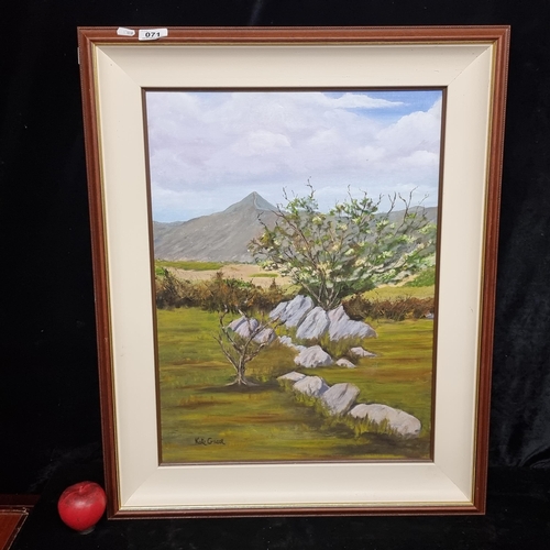 71 - A vivid oil on board painting of a mountain landscape titled 'Croagh Patrick from Owenwee' Signed Ka... 