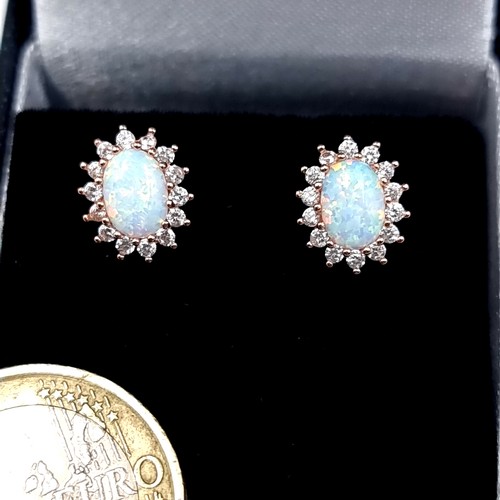 565 - A pair of rose gold opal stone stud earrings with gem stone surround, old new stock, never worn.