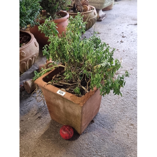 829 - A very large  square terracotta planter. H30cm These large Terracotta pots are amazing from a huge e... 