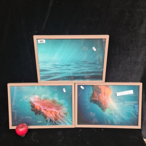 293 - A vibrant trio of framed abstract prints by Irish artist Niall Meehan. Featuring an explosion of col... 