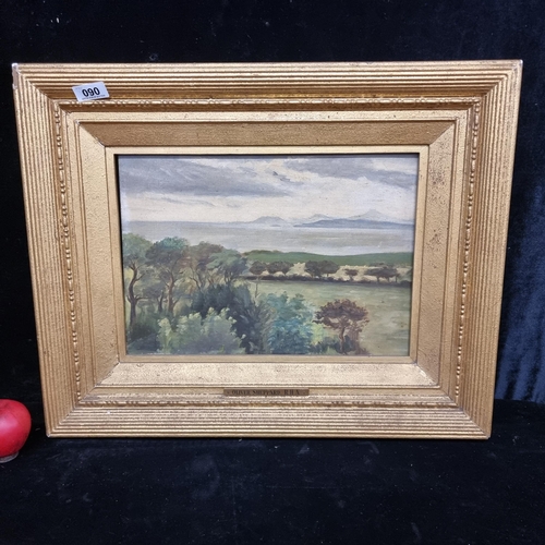 90 - A fabulous early 20th century original oil on canvas board painting featuring a traditional Irish sc... 