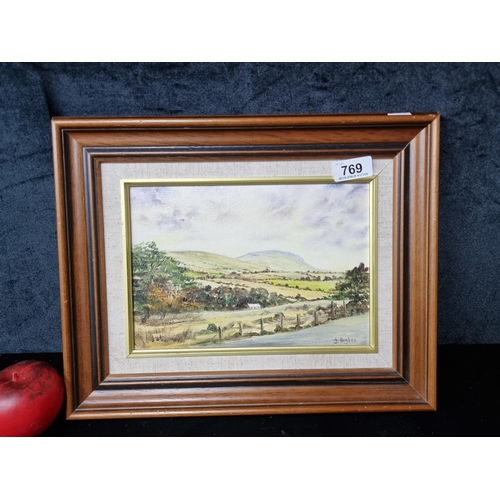 769 - A charming original oil on board painting featuring a traditional west of Ireland landscape scene of... 