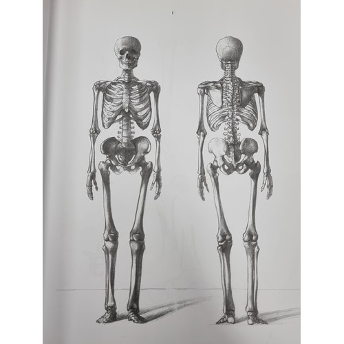 675 - A large hardback book titled 'Anatomy for the Artist' by Jeno Barcsay. Featuring 142 full-page plate... 