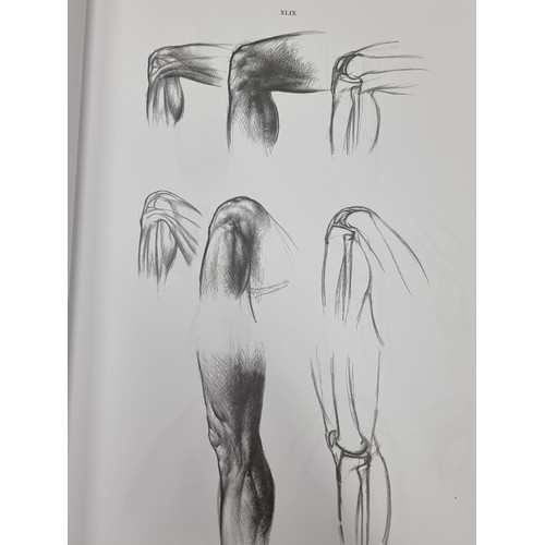 675 - A large hardback book titled 'Anatomy for the Artist' by Jeno Barcsay. Featuring 142 full-page plate... 