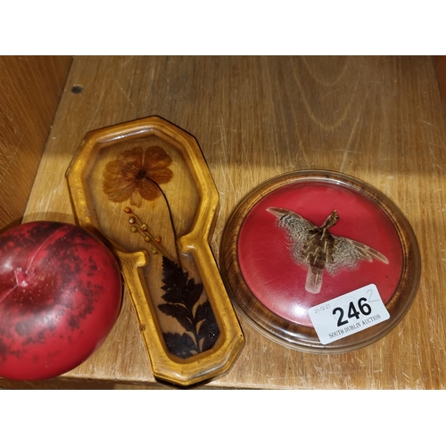 246 - Two items including a pressed flower and a  from a tiny bird from Lochardil Inverness.