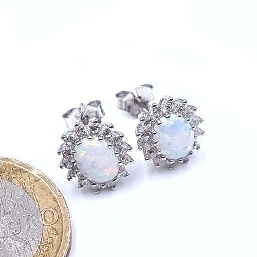 528 - Star Lot : A most attractive pair of opal stone stud earrings mounted in sterling with white sapphir... 