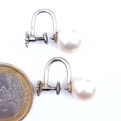 533 - A very fine pair of vintage pearl stud earrings with screw twist clasps. Boxed.