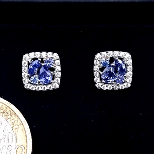 534 - A most attractive pair of tazanite stone stud earrings set in sterling silver with gem stone surroun... 