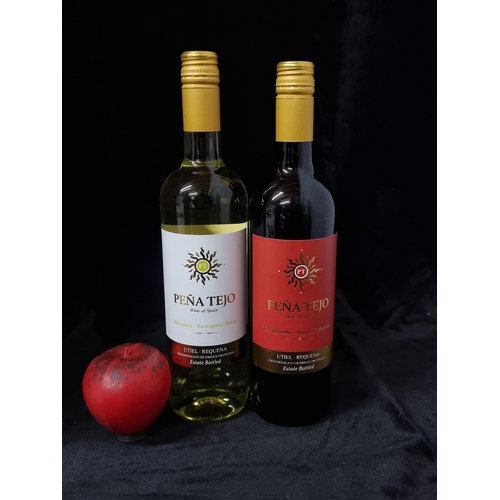 692 - A set of two sealed 2021 bottles of Pena Tejo wine including Sauvignon Blanc and Cabernet. 75cl each... 